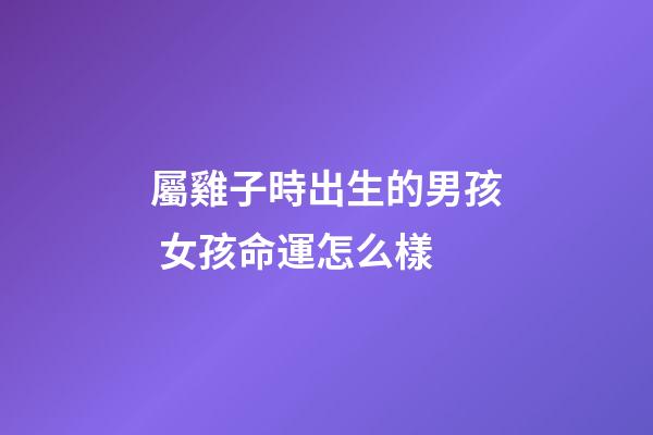 屬雞子時出生的男孩 女孩命運怎么樣